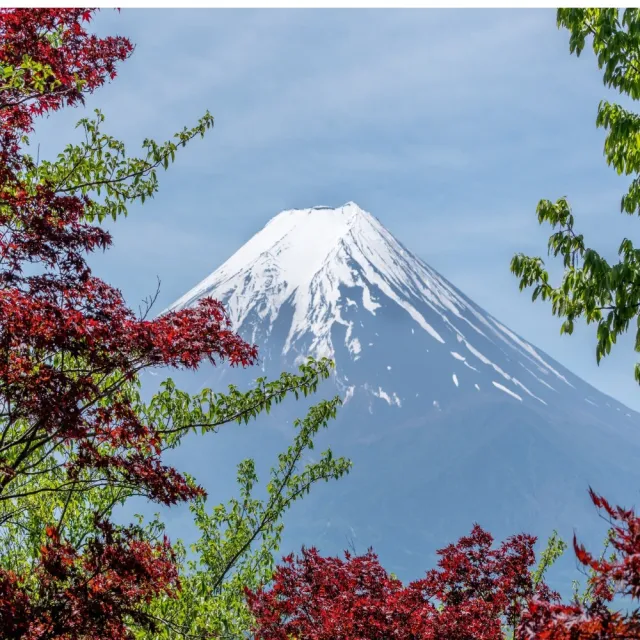 樂桃東京五日純機票|09-10月早去晚回贈網卡+行李託運20公斤-單人券