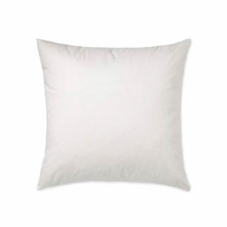 【hoi! 好好生活】台灣製A級棉抱枕芯60X60cm
