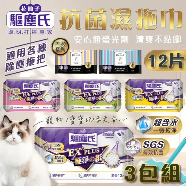 【驅塵氏】3包組 抗菌濕拖巾(12片/包)(茶樹/薰衣草/檸檬/無香/小蒼蘭英國梨/鼠尾草海鹽) 寵物友善 除塵紙