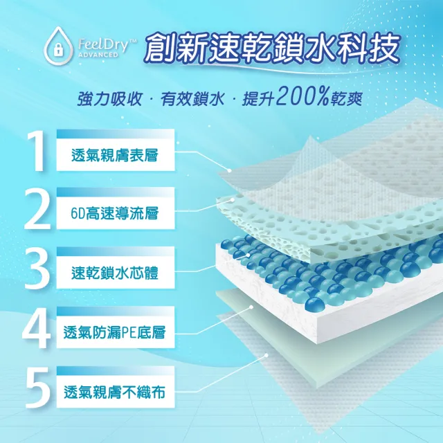 【添寧】長效型 成人紙尿褲XXL(10片x6包/箱購 黏貼型)