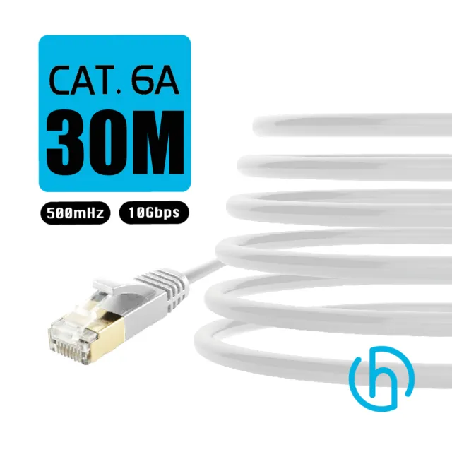 HARK CAT.6a 超高速工程級網路線30米(1入)