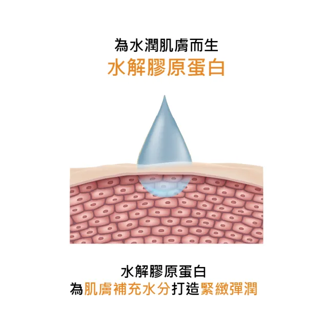 【esfolio】韓國Q10清爽保濕身體乳液(500ml)