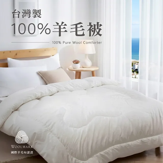 【2026】羊毛被推薦ptt》10款高評價人氣品牌排行榜 | 好吃美食的八里人