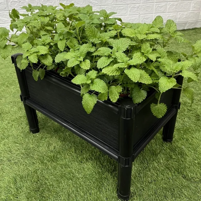 【田園樂】育材單層架高一節種植箱(45*30*32cm)(組合式種植箱種菜箱/籃耕離地栽培/2入一組)