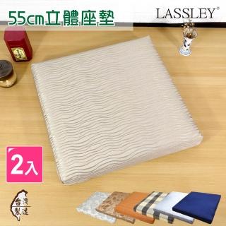 【LASSLEY】二入組-55cm立體座墊(客廳 坐墊 厚墊 椅墊 大方墊 和室 沙發墊 台灣製造)