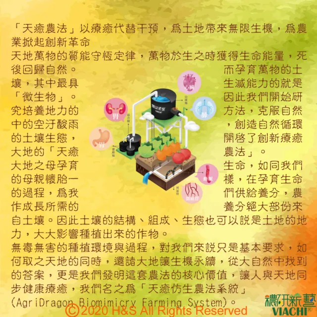 【穠研薪藝】天癒五生．元液  穠研靈芝750ml/瓶(黑糖+異麥芽寡糖配方)