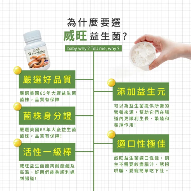 【WeWant 威旺】蛇類用益生菌+益生元-腸胃2菌配方(蛇類益生菌/兩棲爬蟲益生菌/蛇類保健)