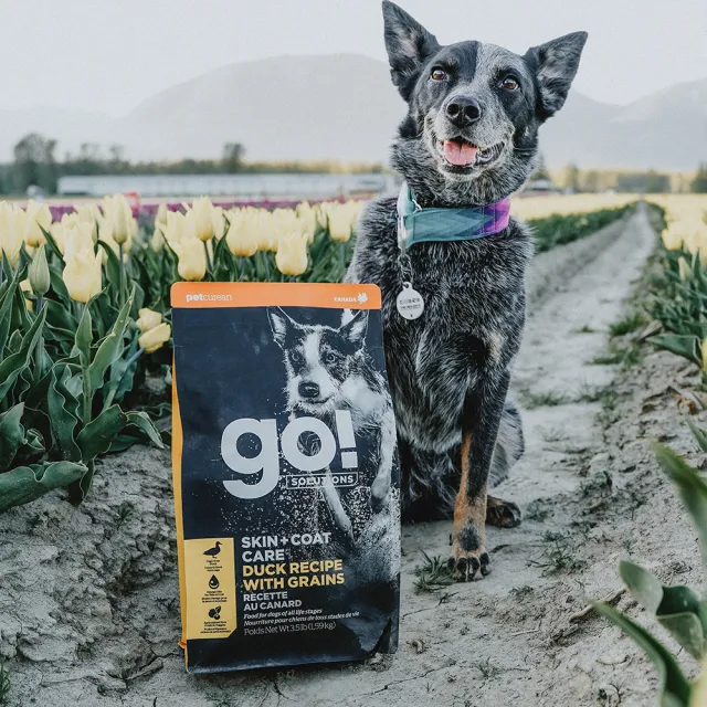 【Go!】全方位系列 22磅 狗狗天然糧(狗糧 狗飼料 全齡犬 燕麥 糙米 皮毛保健)