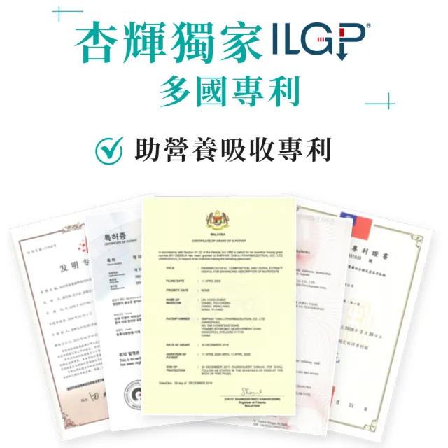 【YouBest 優倍多】強力苦瓜胜肽膠囊(60粒/盒-苦瓜高含量三粒1020mg  ILGP®專利成分 雙向調節)