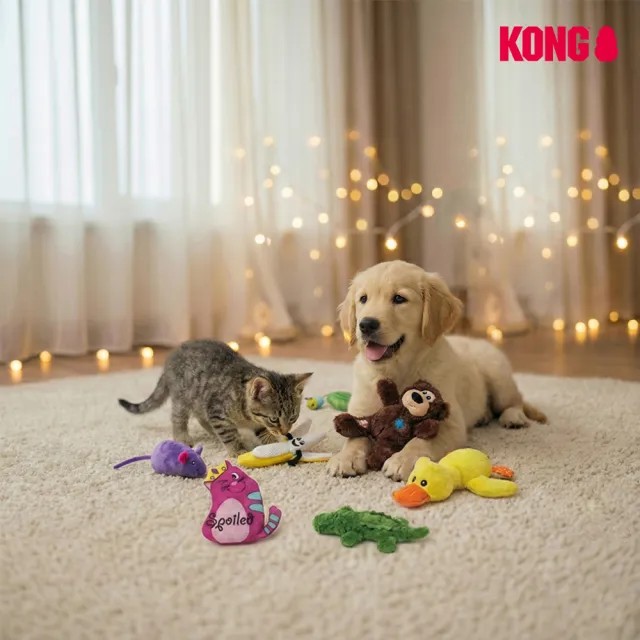 【KONG】貓狗益智啃咬玩具(抗憂鬱 益智 寵物 貓草 有聲 繩結 逗貓 禮物)