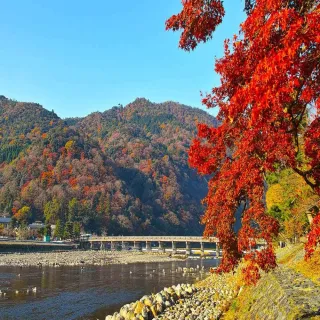 【喜鴻假期】★高雄出發．秋楓京都５日★日本環球影城、勝尾寺、合掌村、奈良鹿、嵐山、宇治遊船
