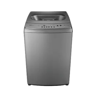 【TECO 東元】58H快配★15kg DD直驅變頻直立式洗衣機 (W1569XS)