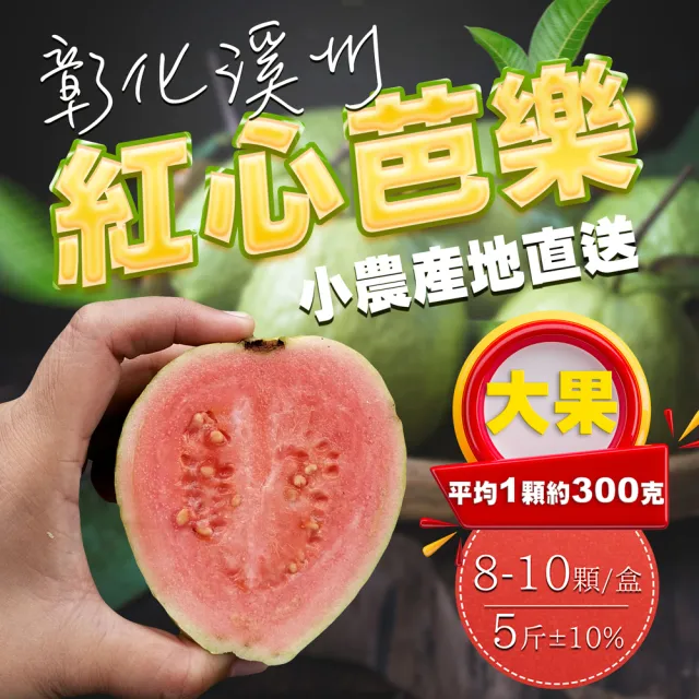 【果樹寶石】彰化溪州紅心芭樂大果8-10顆x1盒（約5斤/盒）（300克±10%/顆）(小農下單才採收 鮮甜帶花香)