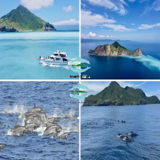 宜蘭新福豐168賞鯨旅遊｜賞鯨＋繞龜山島＋登龜山島(三合一)