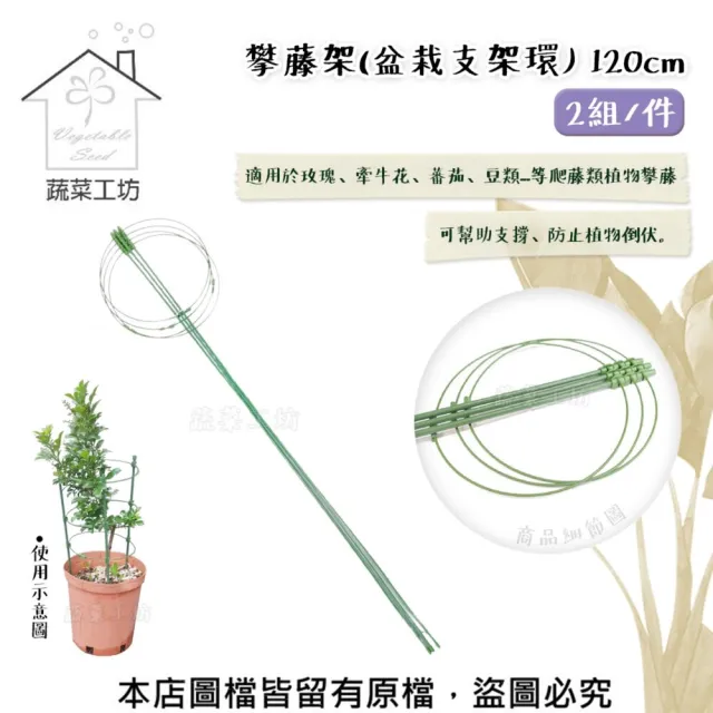 【蔬菜工坊】攀藤架盆栽支架環120公分 2組件 爬藤架園藝支架瓜架植