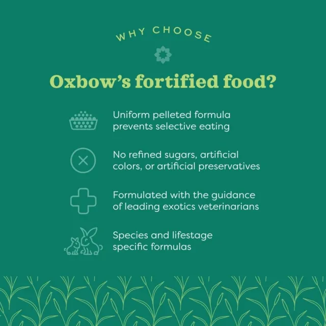 【OXBOW】活力-老年兔配方飼料 4磅/1.8kg(美國OXBOW、兔子飼料、壓縮糧、老兔)