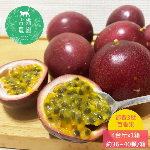 吉貓農園 高雄內門都香3號百香果4台斤x1箱(約36~40顆/箱_特級中果_產地直送)