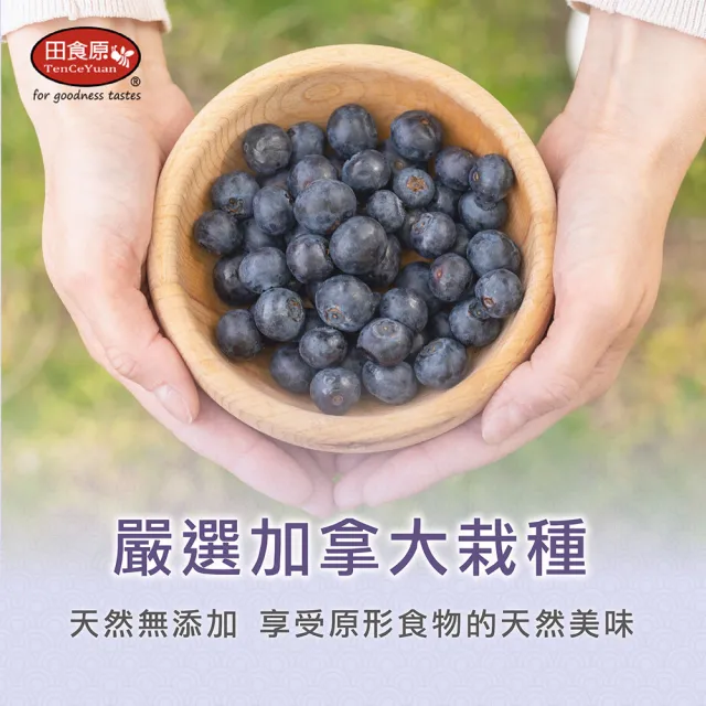 【田食原】(箱購免運)加拿大IQF鮮凍藍莓16入組(500g/包 8kg) 無防腐劑/重金屬/農藥檢驗通過