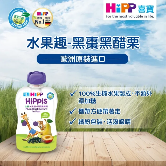 【HiPP】喜寶生機水果趣100g*8入(黑棗黑醋栗)