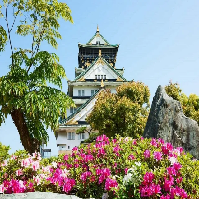 【喜鴻假期】特惠輕旅大阪５日★日本環球影城.京都清水寺.大阪城公園.下鴨神社.錦市場.黑毛和牛(含稅)