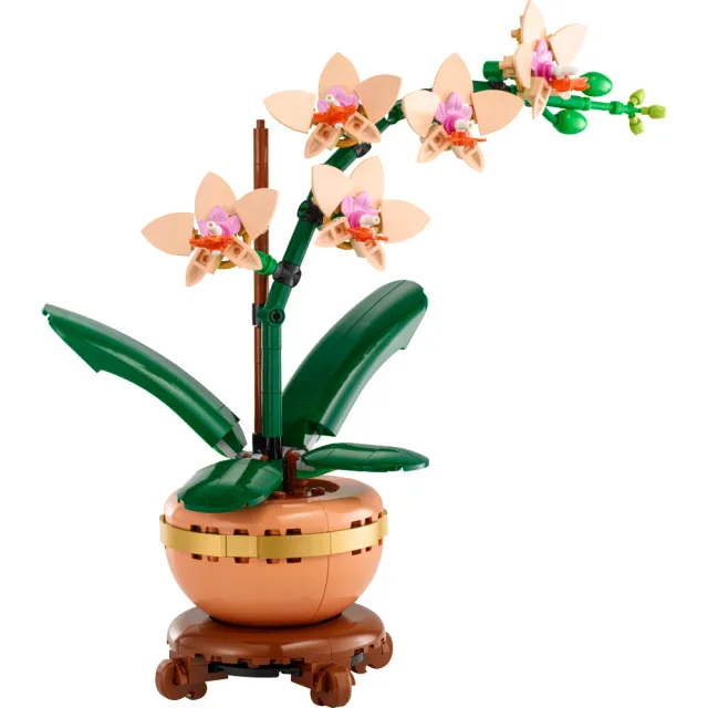 【LEGO 樂高】Botanicals 10343 迷你蘭花(居家擺設 花藝植栽 節慶禮物 玩具模型 禮物)