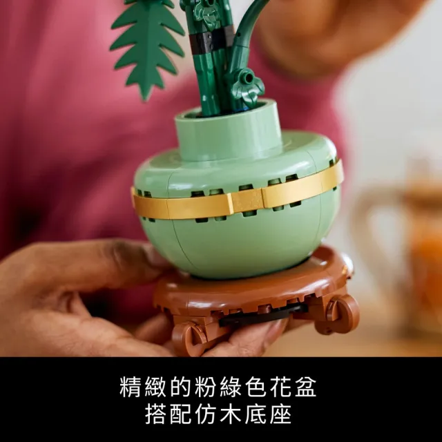 【LEGO 樂高】Botanicals 10368 菊花(花藝植栽 居家擺設 送禮推薦 玩具禮物)