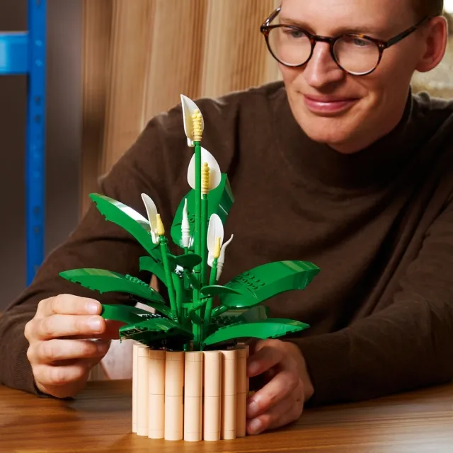 【LEGO 樂高】Botanicals 11504 白鶴芋(花藝 居家擺設 積木 玩具)
