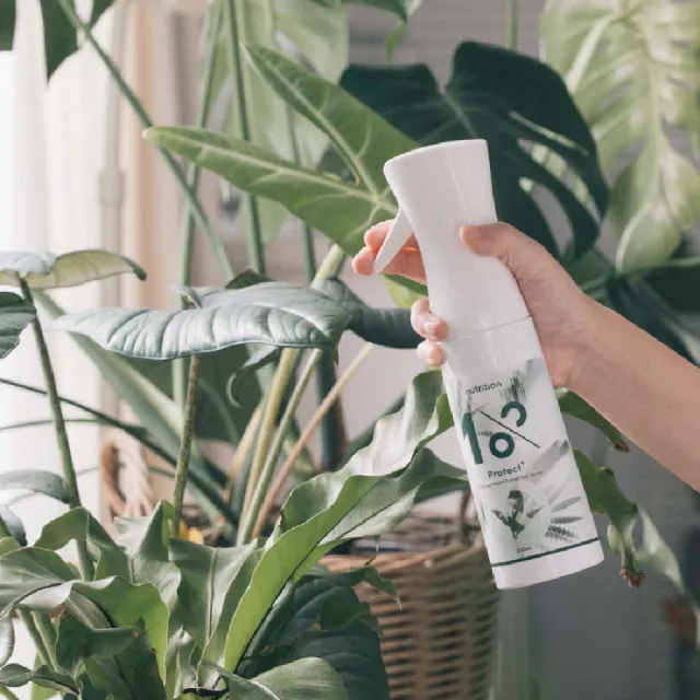 【1%植物關鍵】1%Protect+甲殼素植物驅蟲噴霧300ml*2(植物 抑制蟲卵 剋紅蜘蛛介殼蟲 驅蟲防蟲+養護 居家)