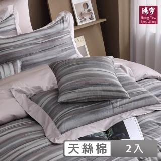 【HongYew 鴻宇】400織天絲棉 歐式壓框薄枕套-凡迪奧(2入)