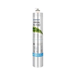 【濱特爾】EVERPURE H100 家用濾心-平行輸入