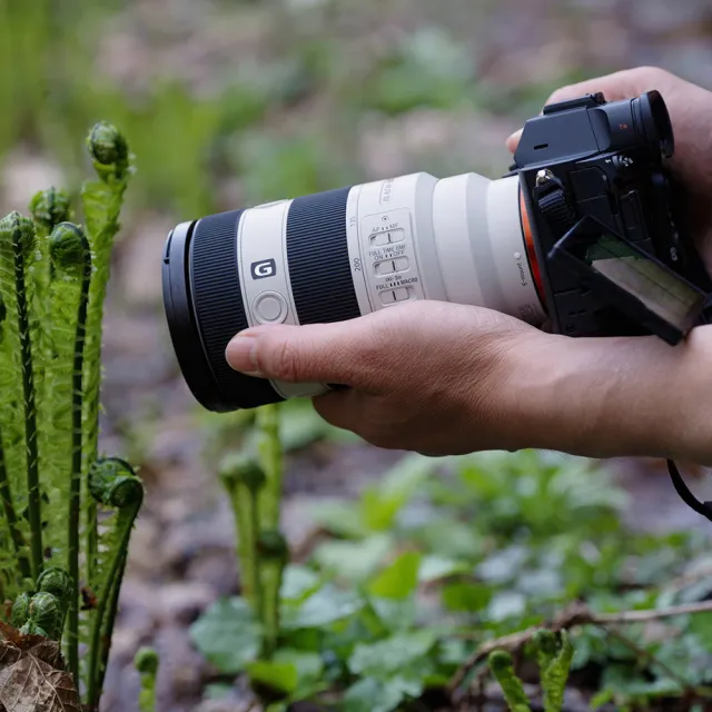 【SONY 索尼】FE 70-200mm F4 Macro G OSS II SEL70200G2 (公司貨) 望遠變焦鏡頭 全片幅無反微單眼鏡頭