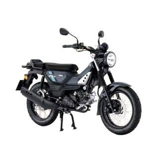 【YAMAHA 山葉】PG-1 ABS 白牌 檔車 機車(白牌 輕檔 檔車 機車)