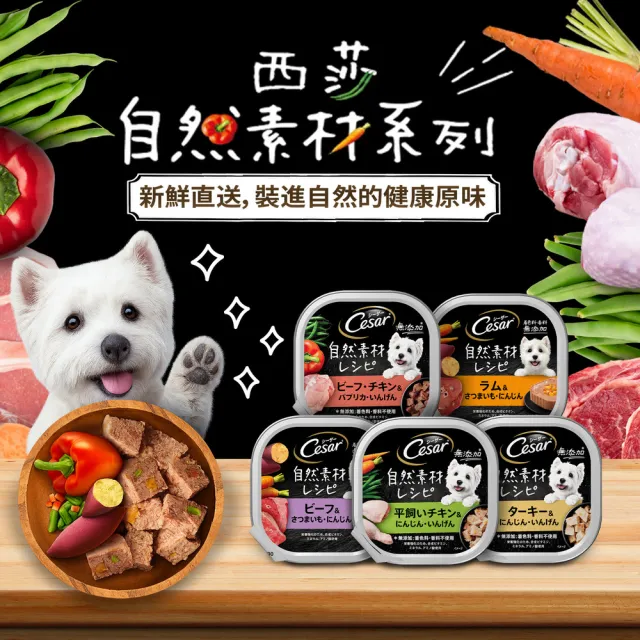 【Cesar 西莎】週期購 Cesar 西莎 自然素材餐盒 85g*28入 寵物/狗罐頭/狗食