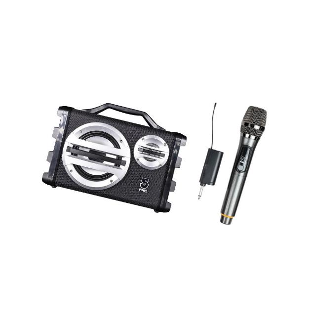 【ifive】手提專業擴音機 if-SK055(25W 無線麥克風 小蜜蜂 擴音器 揚聲器 大聲公 喊話器 木質音箱)
