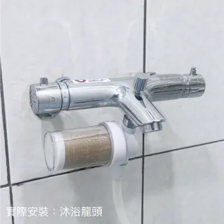 【CAESAR 凱撒衛浴】沐浴龍頭 / 免治馬桶專用 極淨純水過濾器濾芯 1 入組( PP過濾綿＋亞硫酸鈣除氯)