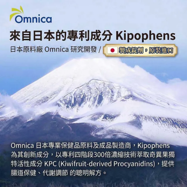 【必爾思】綺多酚 Kipophens 體感精靈 日本製 奇異果多酚專利萃取錠 3入組 (60錠/包 共180錠) 輕盈配方