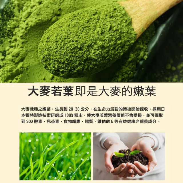 【盛花園】日本九州原裝大麥若葉青汁(50入/盒)