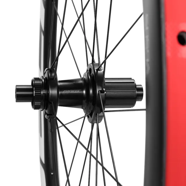 【GIANT】捷安特 VUELTA 系列 碳纖維 輪框 Sapim幅條 碟煞 中鎖式 輪組 公路車 自行車