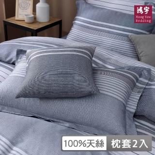 【HongYew 鴻宇】台灣製100%天絲 歐式壓框薄枕套2入(亞斯頓 60支/300織)