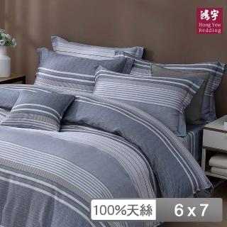 【HongYew 鴻宇】台灣製100%天絲 兩用被套 雙人(亞斯頓 60支/300織)