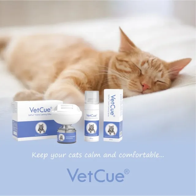 【VetCue 舒普】補充瓶-45ml 貓咪舒緩情緒費(貓咪費洛蒙/舒普/舒緩壓力/安撫情緒)