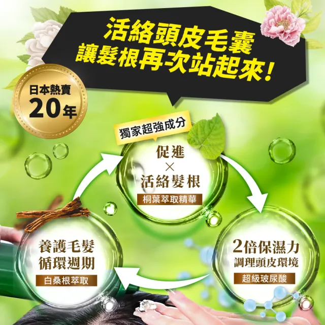 【REREJE 日麗生】rrj養髮液75mlx3入組(醫學大聯盟&小姐不熙娣★頭皮水/頭皮護理/頭皮精華/頭皮噴霧)