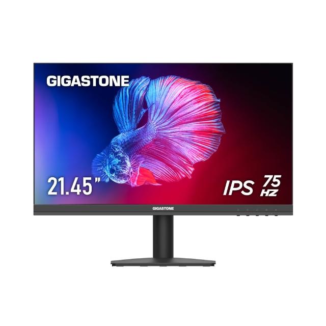 Gigastone立達 LM-22FA51 是一款22型IPS平面螢幕，解析度達1920*1080(FHD)，螢幕比例16:9，更新率75Hz，支援HDMI、D-sub、VGA及DC-IN接孔，無觸控功能，提供3年原廠保固，附贈說明書、HDMI線、D-sub(VGA)線、3.5mm音源線及電源線。