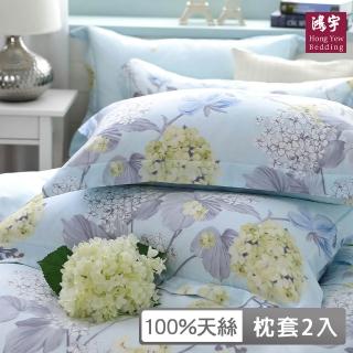 【HongYew 鴻宇】台灣製100%天絲 歐式壓框薄枕套2入(維娜 60支/300織)