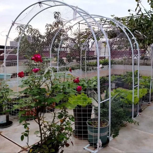 【poko】白色拱門花架附底座 200*230cm 花園藝 花架 爬藤架 攀爬架 支撐架 婚慶支架 加固花支架