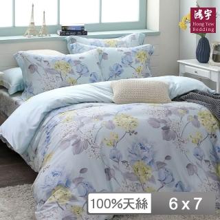 【HongYew 鴻宇】台灣製100%天絲 兩用被套 雙人(維娜 60支/300織)