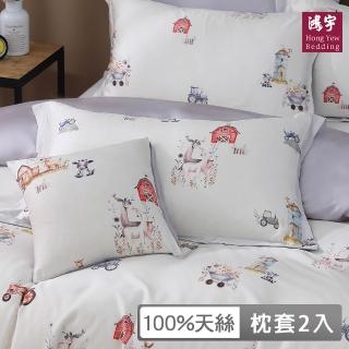 【HongYew 鴻宇】台灣製100%天絲 歐式壓框薄枕套2入(小夢斑比 60支/300織)