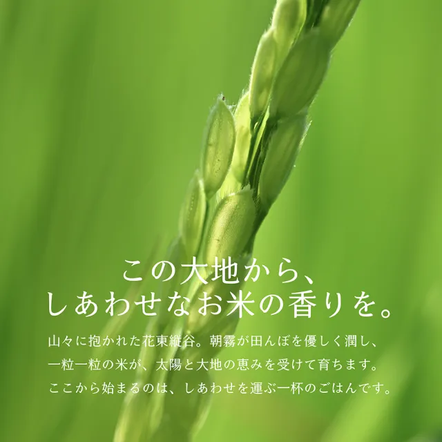 【樂米穀場】台東池上一等香米6kg (池上一等好米 / 福氣中元祭)
