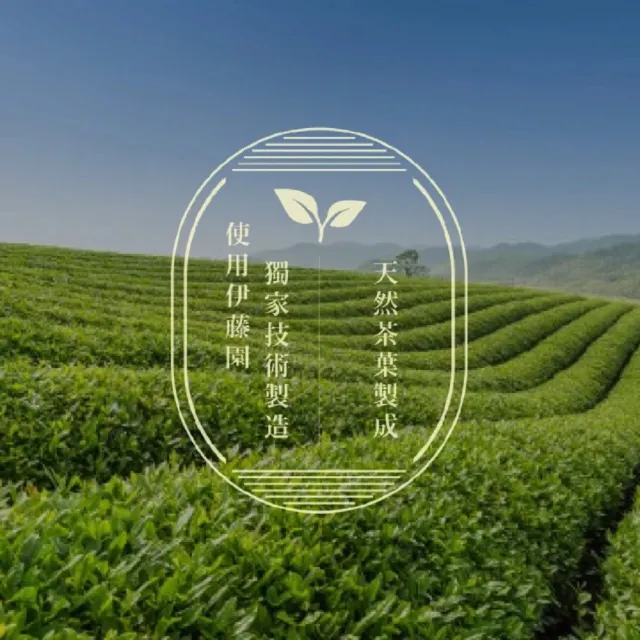 【美式賣場】伊藤園 Oi Ocha 綠茶530mL X 24瓶/箱