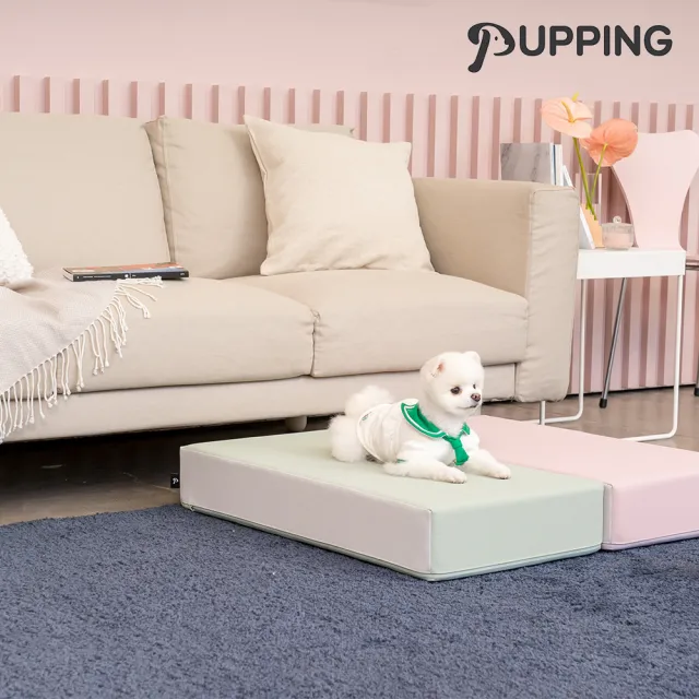 【PUPPING】韓國寵物防滑平台(3色可選)